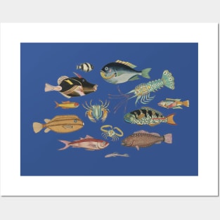 So Many Fish Yellow #1 - Vintage Marine Biology Pattern Posters and Art